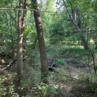 Hunting Land with CRP Income For Sale in Northeast MO images 5