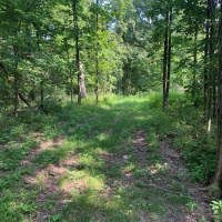 Hunting Land with CRP Income For Sale in Northeast MO images 6