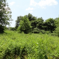 Country Home &nbsp; Commercial Acreage For Sale in Dent County MO images 4