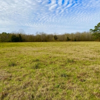 The Millry Brier Creek Farm Timber &nbsp; Hunting Estate images 3