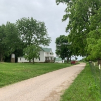 Cattle Ranch &nbsp; Multiple Homes For Sale in Southwest MO images 2