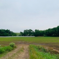 Cattle Ranch &nbsp; Multiple Homes For Sale in Southwest MO images 3