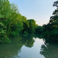 Cattle Ranch &nbsp; Multiple Homes For Sale in Southwest MO images 4