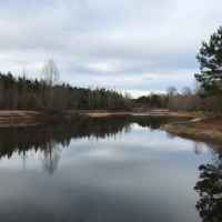245 Acres Prime Timberland in Tylertown  MS images 4