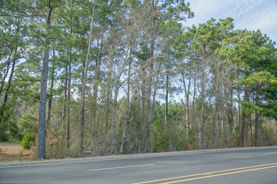 72 Acres &nbsp; FM 247 &nbsp; American Legion Drive featured image