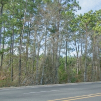 72 Acres &nbsp; FM 247 &nbsp; American Legion Drive