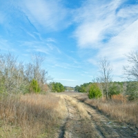 72 Acres &nbsp; FM 247 &nbsp; American Legion Drive images 2