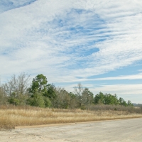 72 Acres &nbsp; FM 247 &nbsp; American Legion Drive images 3
