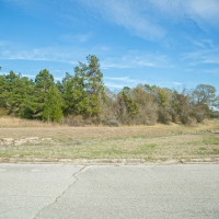 72 Acres &nbsp; FM 247 &nbsp; American Legion Drive images 6