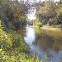 Hwy 27 images 3