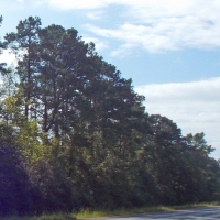 Hwy 27 images 4
