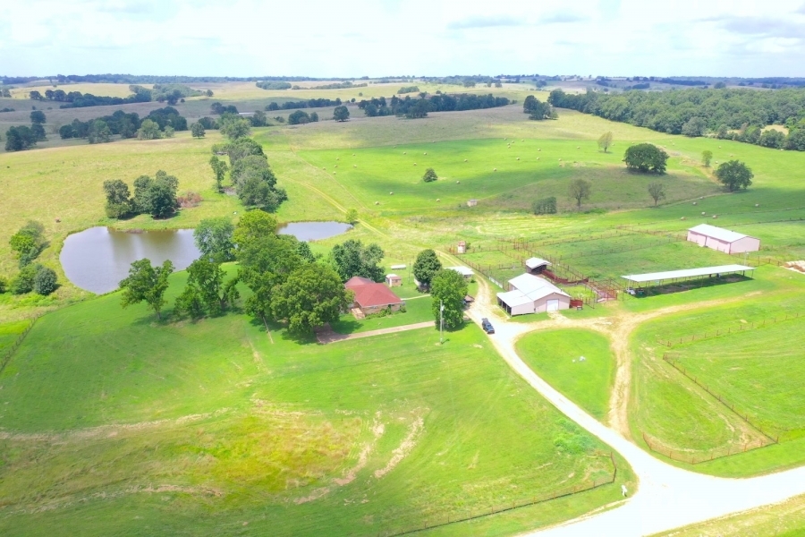 Productive Cattle Ranch For Sale in Southeast MO featured image