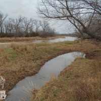 Pristine Live Water Hunting Ranch For Sale in Southern KS images 3