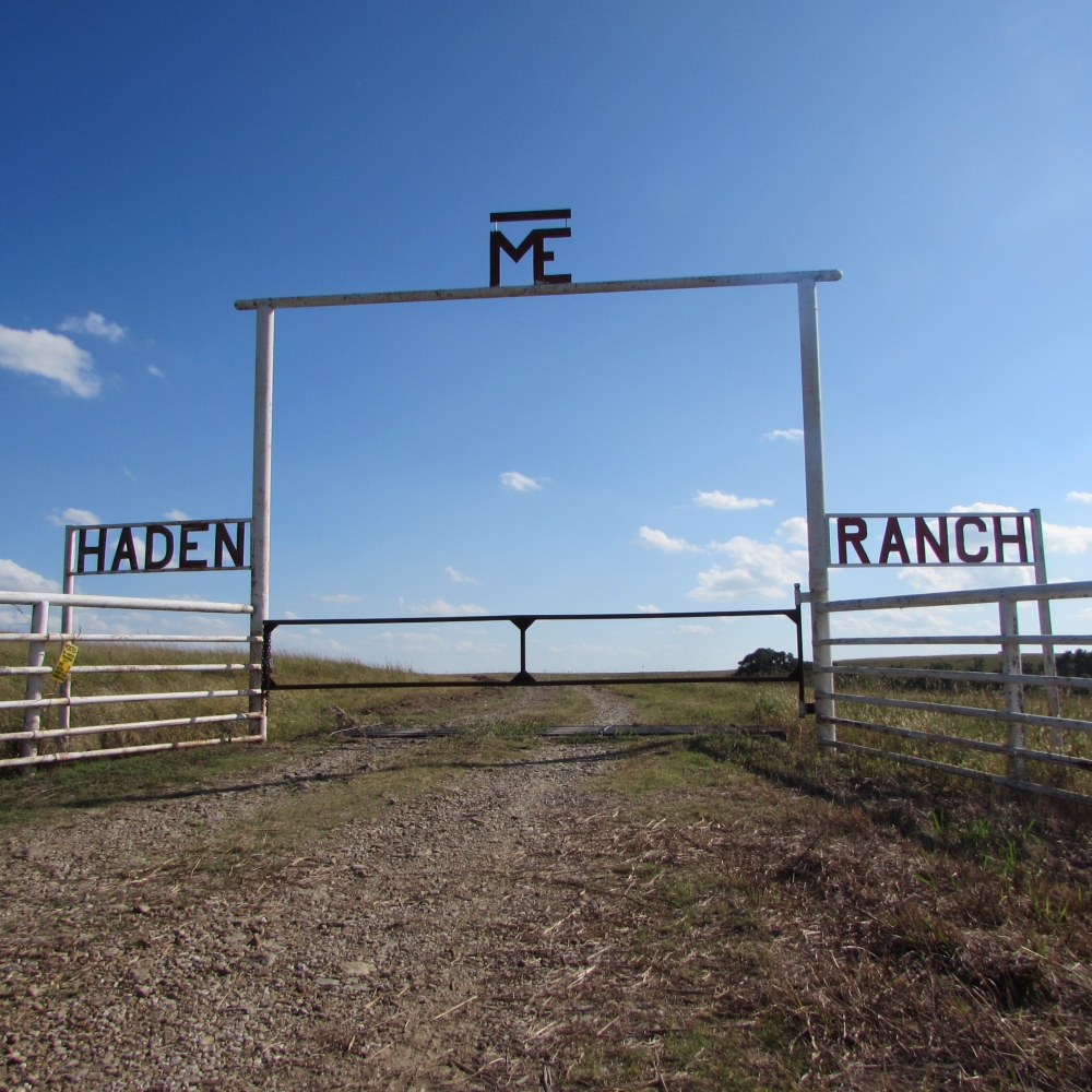Haden Ranch featured image