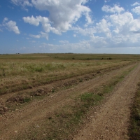 Haden Ranch images 2