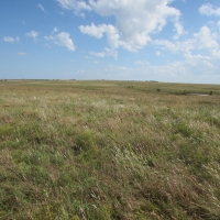 Haden Ranch images 3