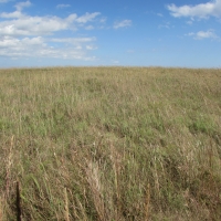 Haden Ranch images 4