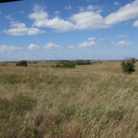 Haden Ranch images 5
