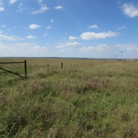 Haden Ranch images 6