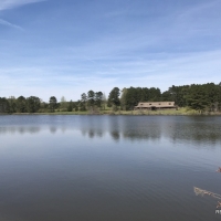 243 ac - Timberland with Buildings  Lake and Lots of Uses - REDUCED