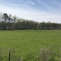 243 ac - Timberland with Buildings  Lake and Lots of Uses - REDUCED images 2