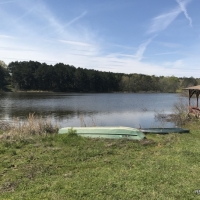 243 ac - Timberland with Buildings  Lake and Lots of Uses - REDUCED images 4