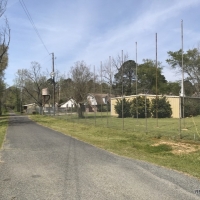 243 ac - Timberland with Buildings  Lake and Lots of Uses - REDUCED images 6