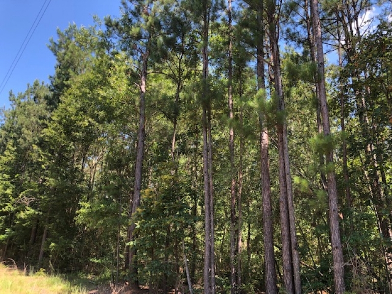 26.17 Acres in NPSD featured image