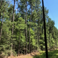 26.17 Acres in NPSD images 4