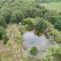 The Estate at Purdon