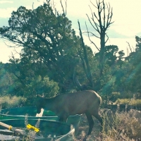 Dolores County Line 270 images 4