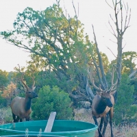 Dolores County Line 270 images 5