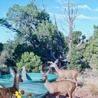 Dolores County Line 270 images 6