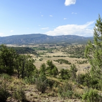 Carracas Canyon Trophy Mule Deer Paradise images 3