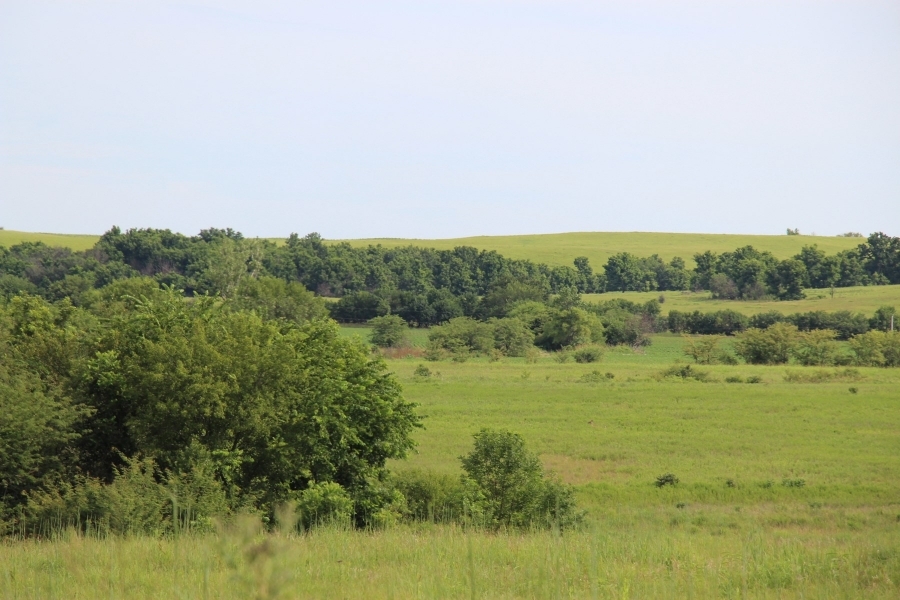Versatile Riverfront Farmland For Sale in Southeast KS featured image