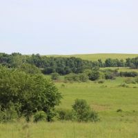 Versatile Riverfront Farmland For Sale in Southeast KS