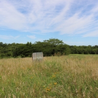 Versatile Riverfront Farmland For Sale in Southeast KS images 2
