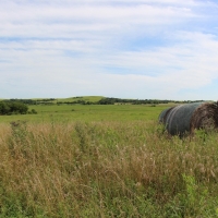 Versatile Riverfront Farmland For Sale in Southeast KS images 3