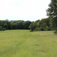 Versatile Riverfront Farmland For Sale in Southeast KS images 4
