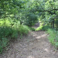 Versatile Riverfront Farmland For Sale in Southeast KS images 6