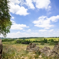 Private Horse Ranch with Recreational Land For Sale in Northeast  CA images 4