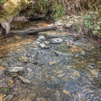 Private Horse Ranch with Recreational Land For Sale in Northeast  CA images 5