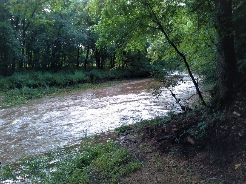 Cattle Ranch &nbsp; Hunting Land For Sale in Central MO featured image