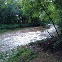 Cattle Ranch &nbsp; Hunting Land For Sale in Central MO