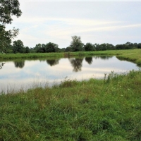 Cattle Ranch &nbsp; Hunting Land For Sale in Central MO images 2