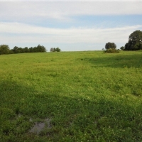 Cattle Ranch &nbsp; Hunting Land For Sale in Central MO images 5