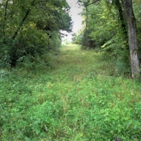 Cattle Ranch &nbsp; Hunting Land For Sale in Central MO images 6