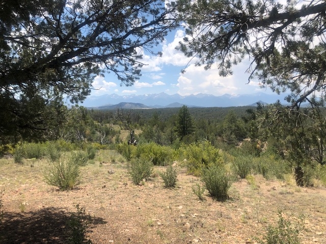 Twisted Pinon Ranch featured image