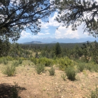 Twisted Pinon Ranch images 1