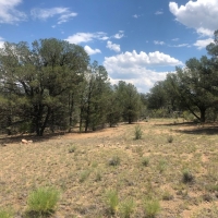 Twisted Pinon Ranch images 2